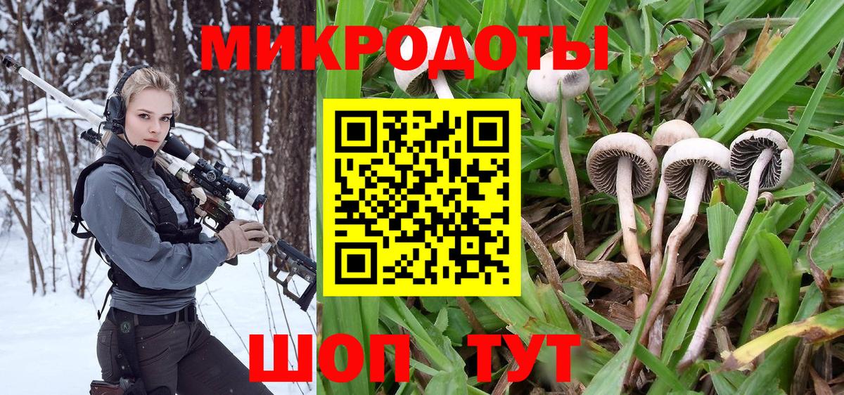 Псилоцибиновые грибы Psilocybe  Вход с VPN  Верхний Уфалей 