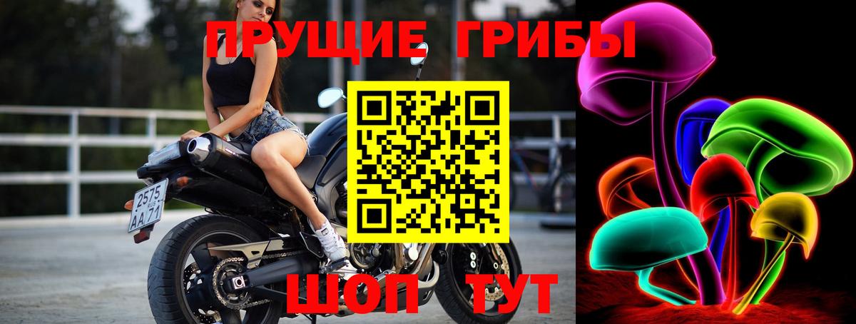 Псилоцибиновые грибы Cubensis Верхний Уфалей